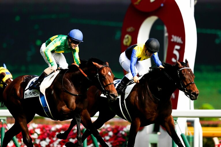 サトノダイヤモンドとマカヒキ ／ photograph by Sports Graphic Number