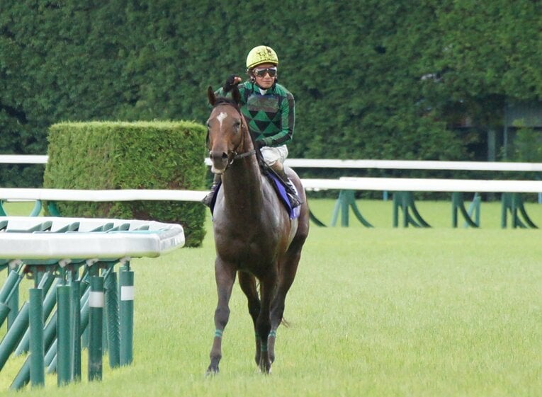 ジャスタウェイに騎乗する柴田善臣騎手　©Satoshi Hiramatsu