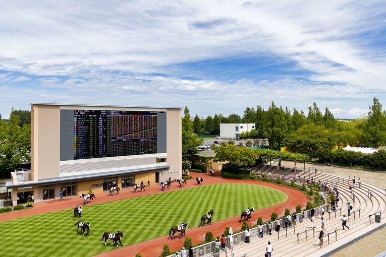 新潟競馬場 ／ photograph by photostud