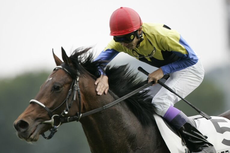 第72回（1995年）日本ダービーを制したディープインパクトと武豊　©︎Tomohiko Hayashi