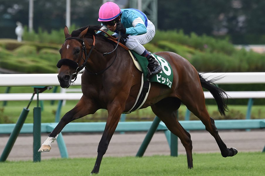 秋華賞は世代上位馬が不在で大混戦。ビッシュの力か、ジュエラーの格か。<Number Web> photograph by NIKKAN SPORTS