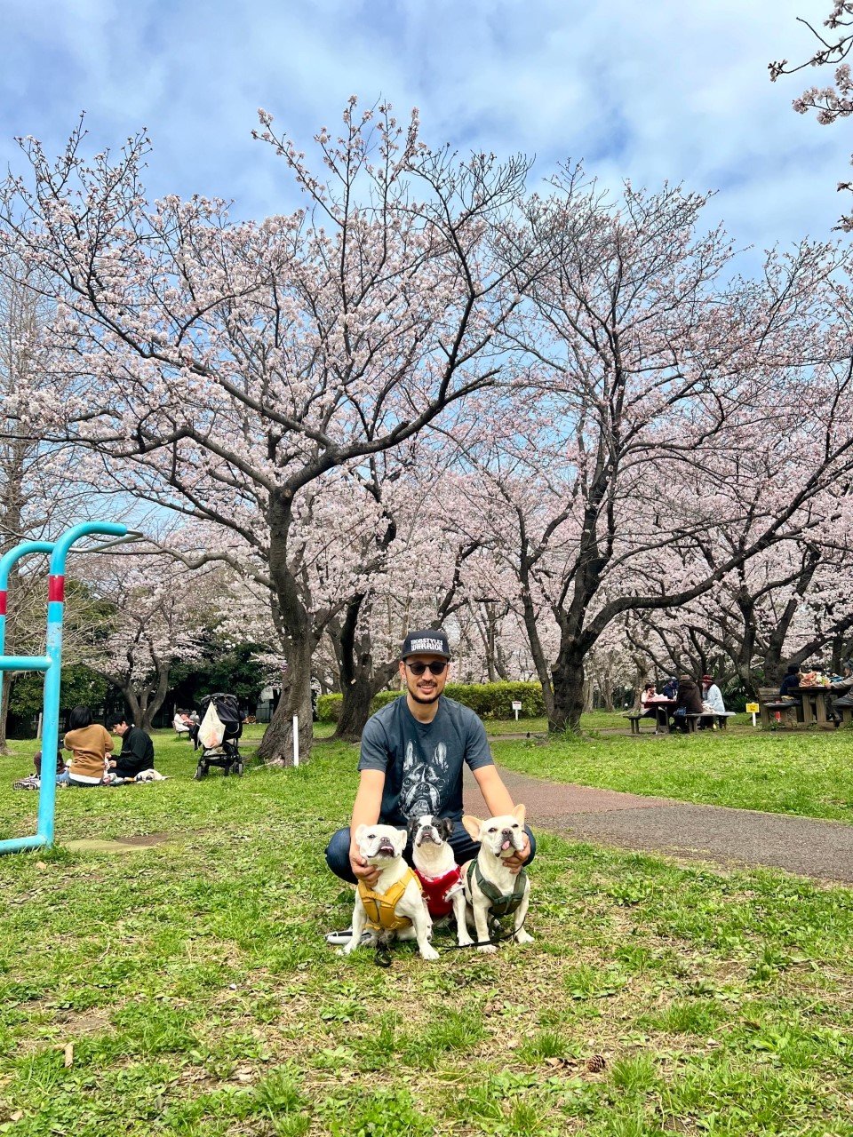 現在は保護犬活動に力を入れているつの丸氏。3匹の愛犬と　©本人提供