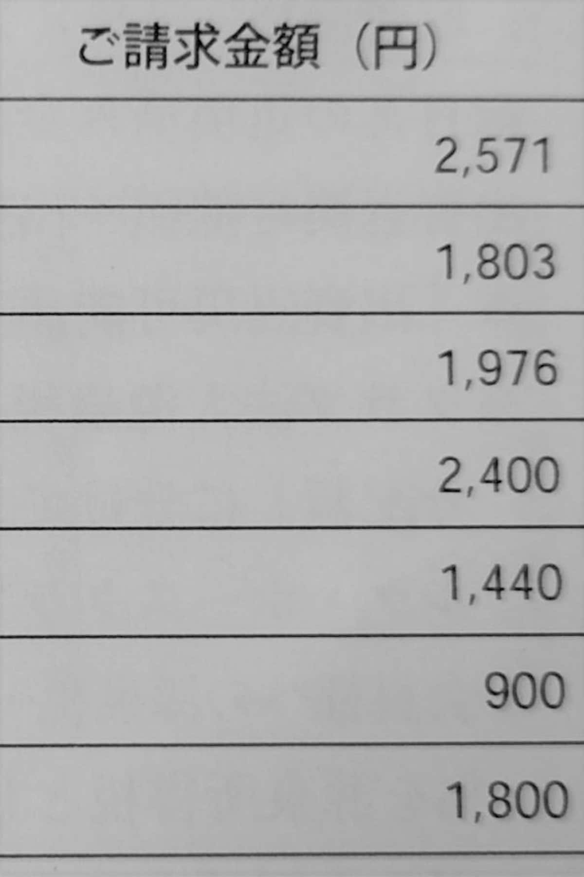 ある月の請求金額の明細(Oさん提供)