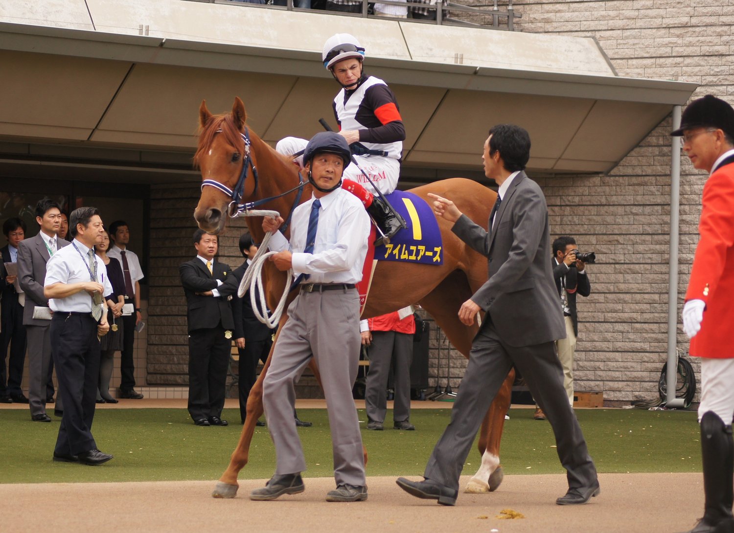 函館開催 のクイーンs 12年 を制したアイムユアーズが変えた 常識 とは 今年は五輪で競馬場が変更に 競馬 Number Web ナンバー