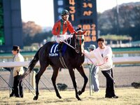 デアリングタクト 桜花賞優勝記念CAP 帽子 関係者制作