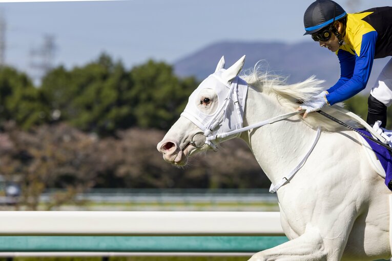 桜花賞でのソダシ