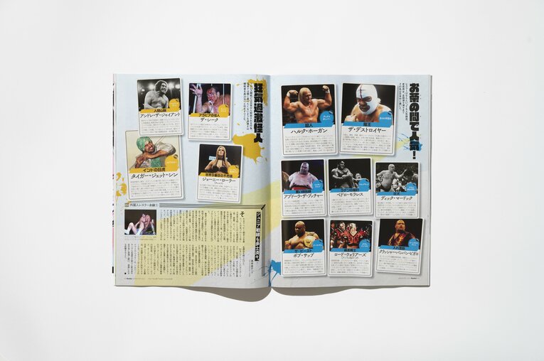 現在発売中の誌面。大図鑑は合計9ページの大ボリューム