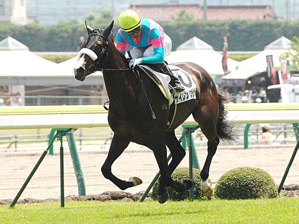 現役引退後も記録達成か。“種牡馬ディープ”の実力。 - 競馬 - Number