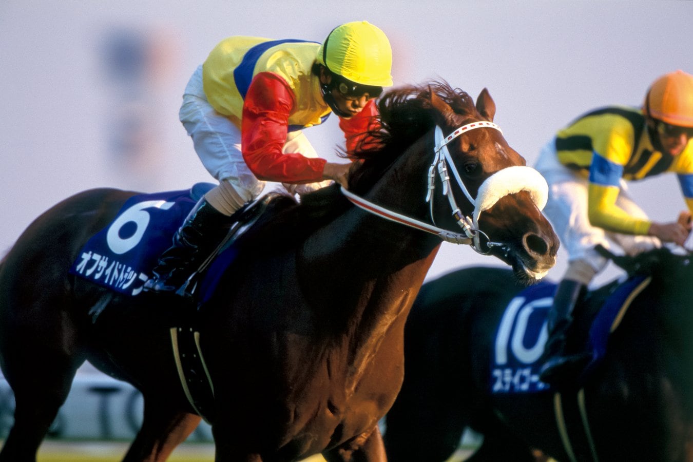 オフサイドトラップ／1991年生［父］トニービン［母］トウコウキャロル［生産］村本牧場［馬主］渡邊隆［調教師］加藤修甫（美浦）［通算成績］28戦7勝［主な勝鞍］'98天皇賞・秋（GI）©Kiichi Yamamoto