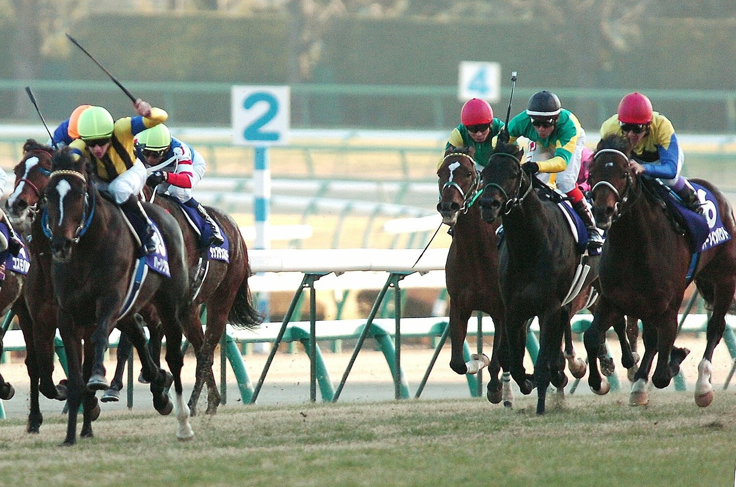 最後の直線　©JIJI PRESS