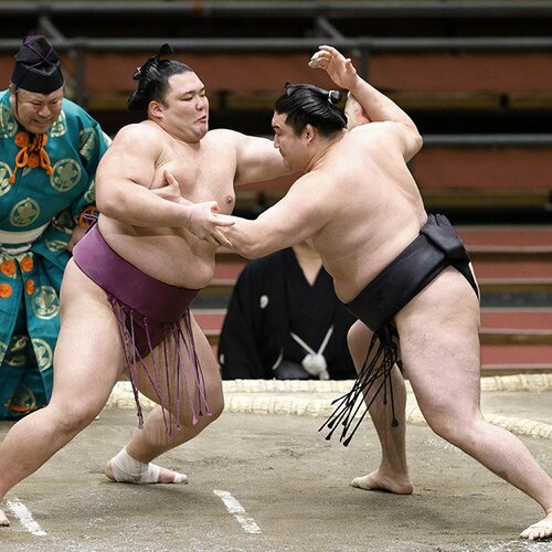 ジャスミンです。佐田の海 朝乃山 ジャスミンです。佐田の海 朝乃山 復活】朝乃山を脅かす可能性のある3