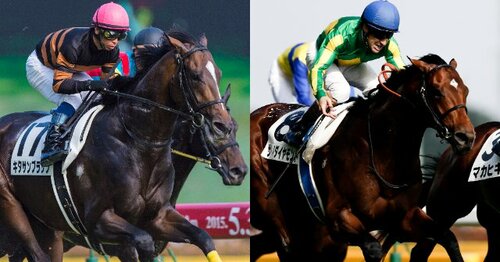 藤原サトノダイヤモンド 新馬戦〜天皇賞・春２歳から４歳国内全１０戦現地単勝 サトノダイヤモンド、天皇賞春の4つの敗因は？血統から導く理由