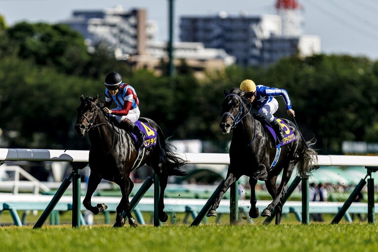 直線の攻防。コーナーで一度前に出たリアライズシリウスをロブチェンが差し返す　©Kiichi Matsumoto