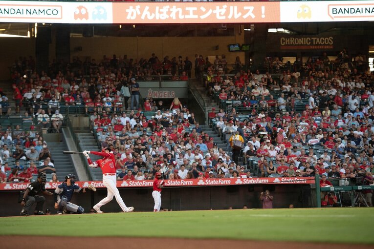 2022年　©Nanae Suzuki