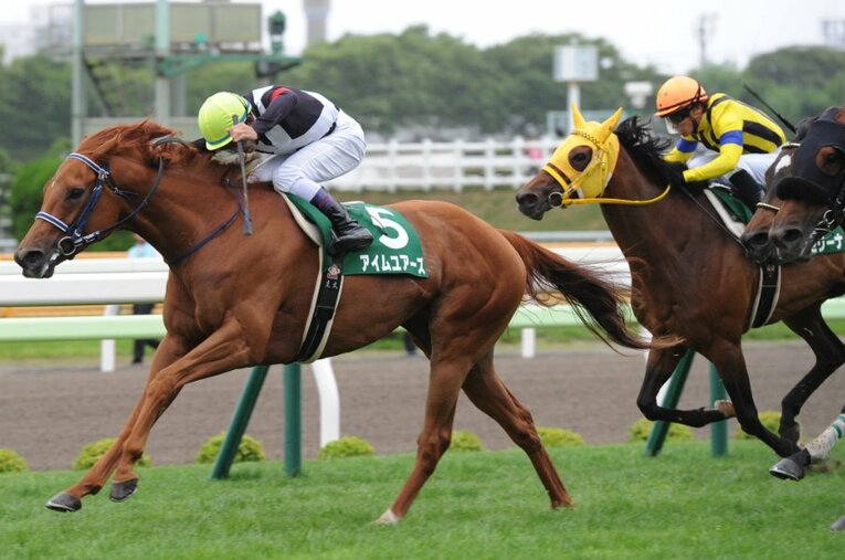 2013年、今年と同じく函館競馬場で開催されたクイーンSを制したアイムユアーズ ／ photograph by Sankei Shinbun