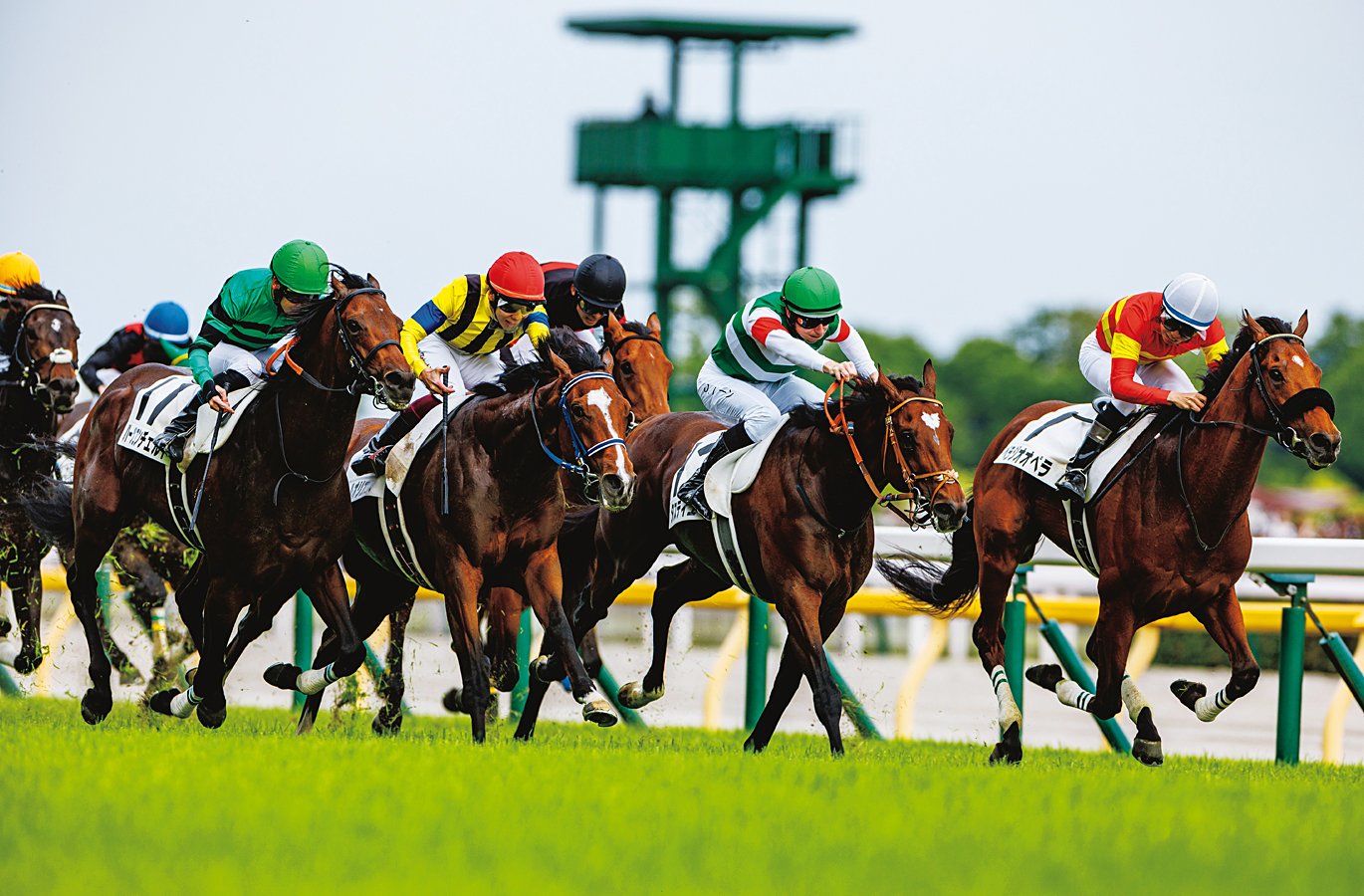 晩成型でウィークポイントが多い馬」タスティエーラはなぜ勝てたのか