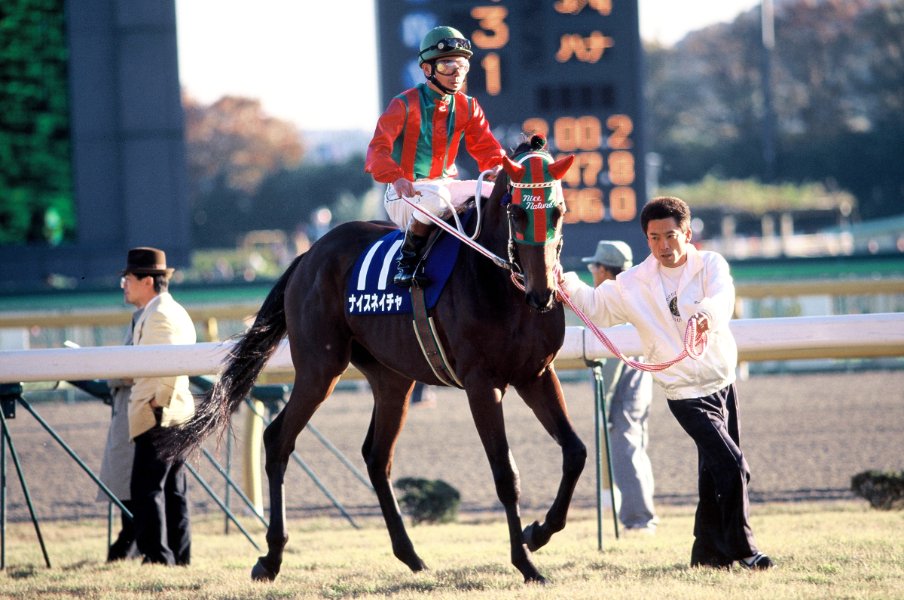 ナイスネイチャを「どの馬よりも強い」と信じた名物厩務員がいた…有馬記念3年連続3着の“神業ブロンズコレクター”はなぜこれほど愛されたのか？＜Number Web＞ photograph by Tomohiko Hayashi