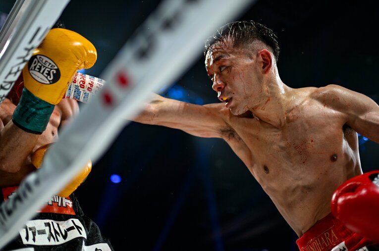 2025年2月、比嘉大吾とのリマッチで流血しながらも防衛を果たしたWBA世界バンタム級王者・堤聖也（29歳）　©Hiroaki Finito Yamaguchi
