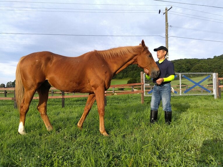 提供：ノーザンレイク