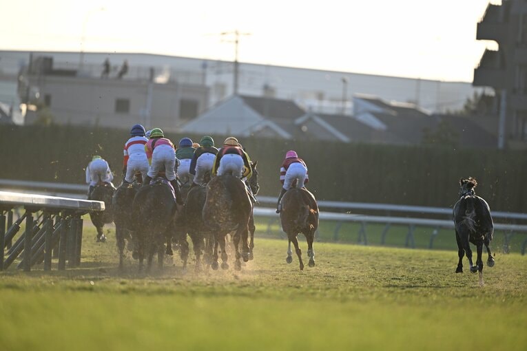 馬群の外を走るカラ馬のアドマイヤテラ　©Keiji Ishikawa