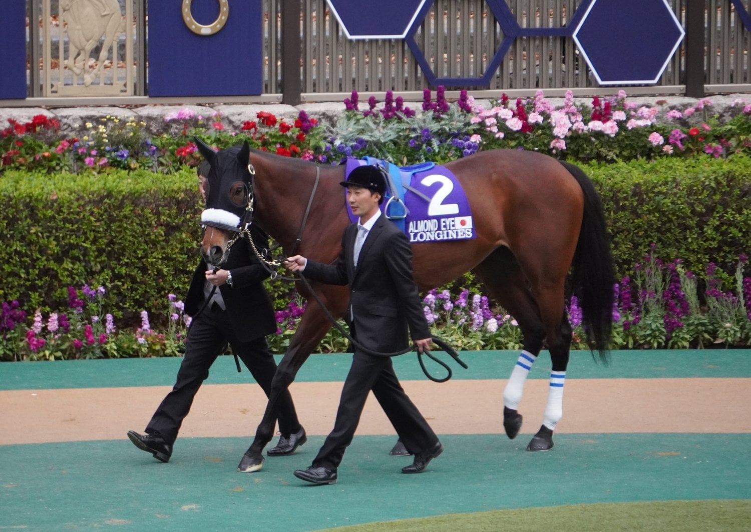 アーモンドアイ　ジャパンカップ