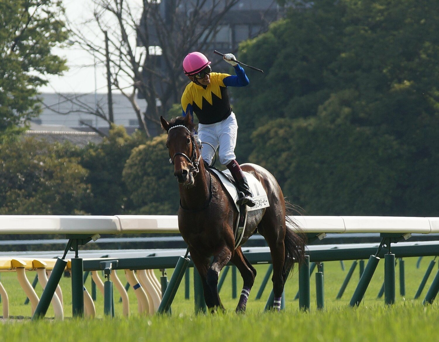 ダービーを制した際のワグネリアンと福永祐一　©Satoshi Hiramatsu