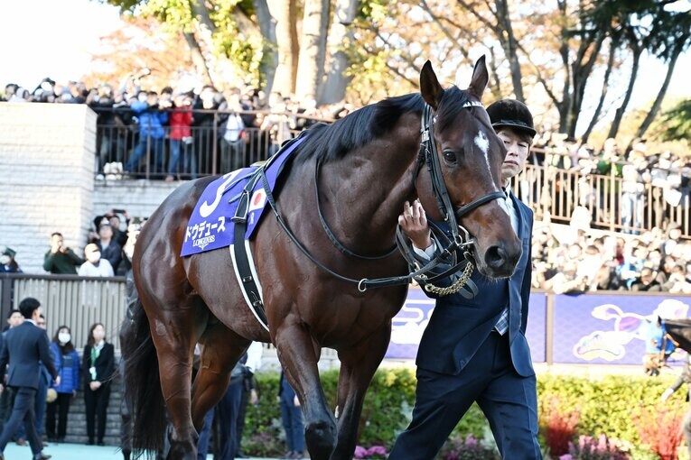 パドックでのドウデュース。11月24日、東京競馬場　©Keiji Ishikawa