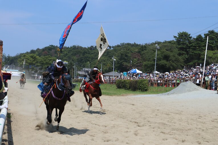 甲冑競馬で先頭を走るトーセンブレイヴ。5月まで南関東でレースに出走していた