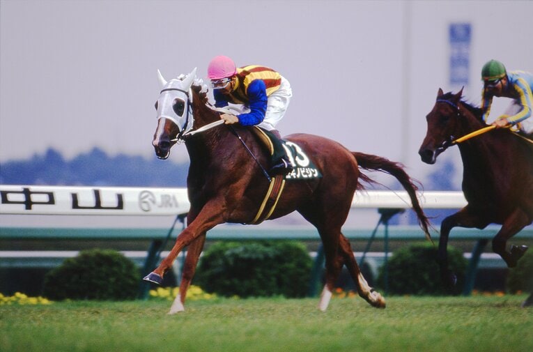 ユキノビジン（1993年クイーンS）　©Keiji Ishikawa