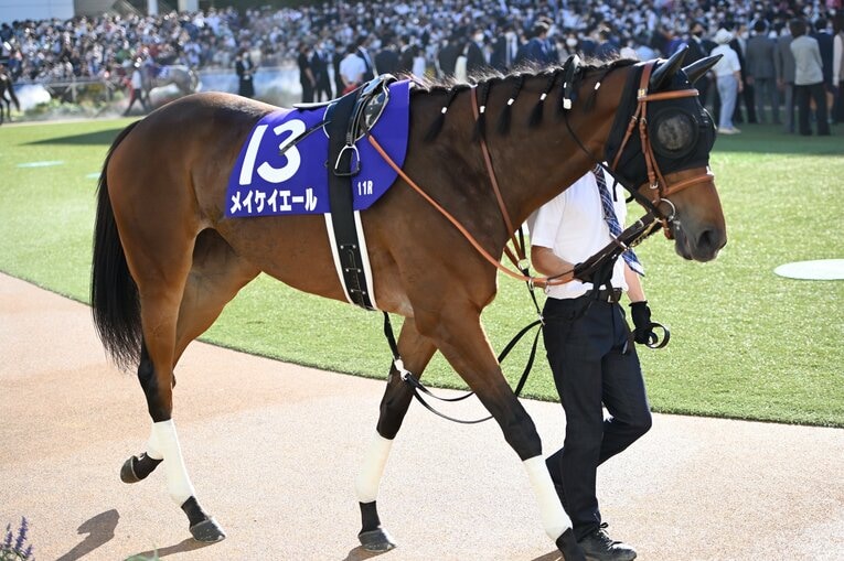 1番人気メイケイエールはなぜ不発に終わった？ 波乱のスプリンターズS、「すべての展開が味方した」ジャンダルムが生んだ“血のドラマ”(7)