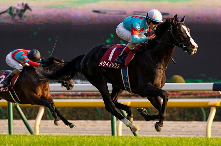 昨年の東スポ杯2歳Sを完勝したイクイノックス ／ photograph by Photostud