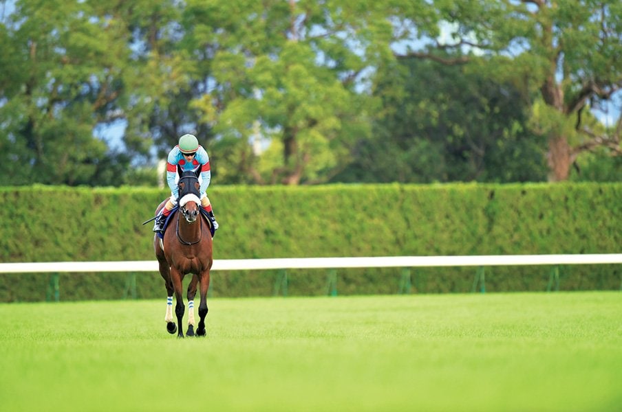 JCのアーモンドアイに死角はあるか。過去から浮かぶ優勝馬の条件は……。<Number Web> photograph by Masumi Seki