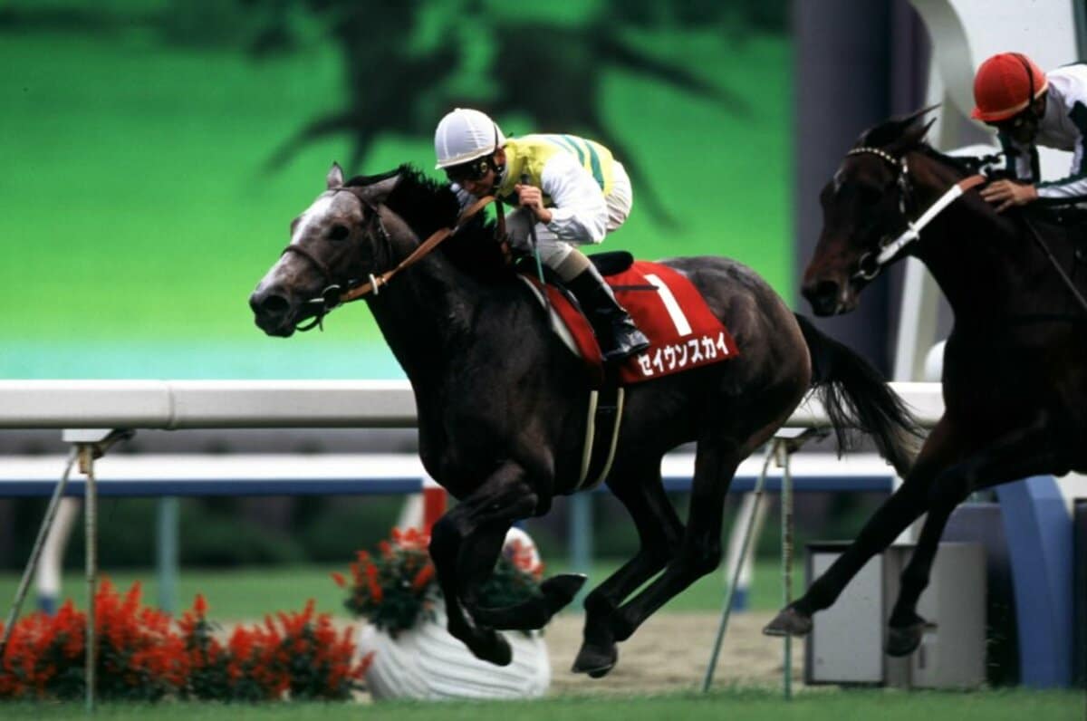 サイレンススズカの 伝説の毎日王冠 の同日に セイウンスカイが京都大賞典で披露した もうひとつの歴史的逃走劇 競馬 Number Web ナンバー