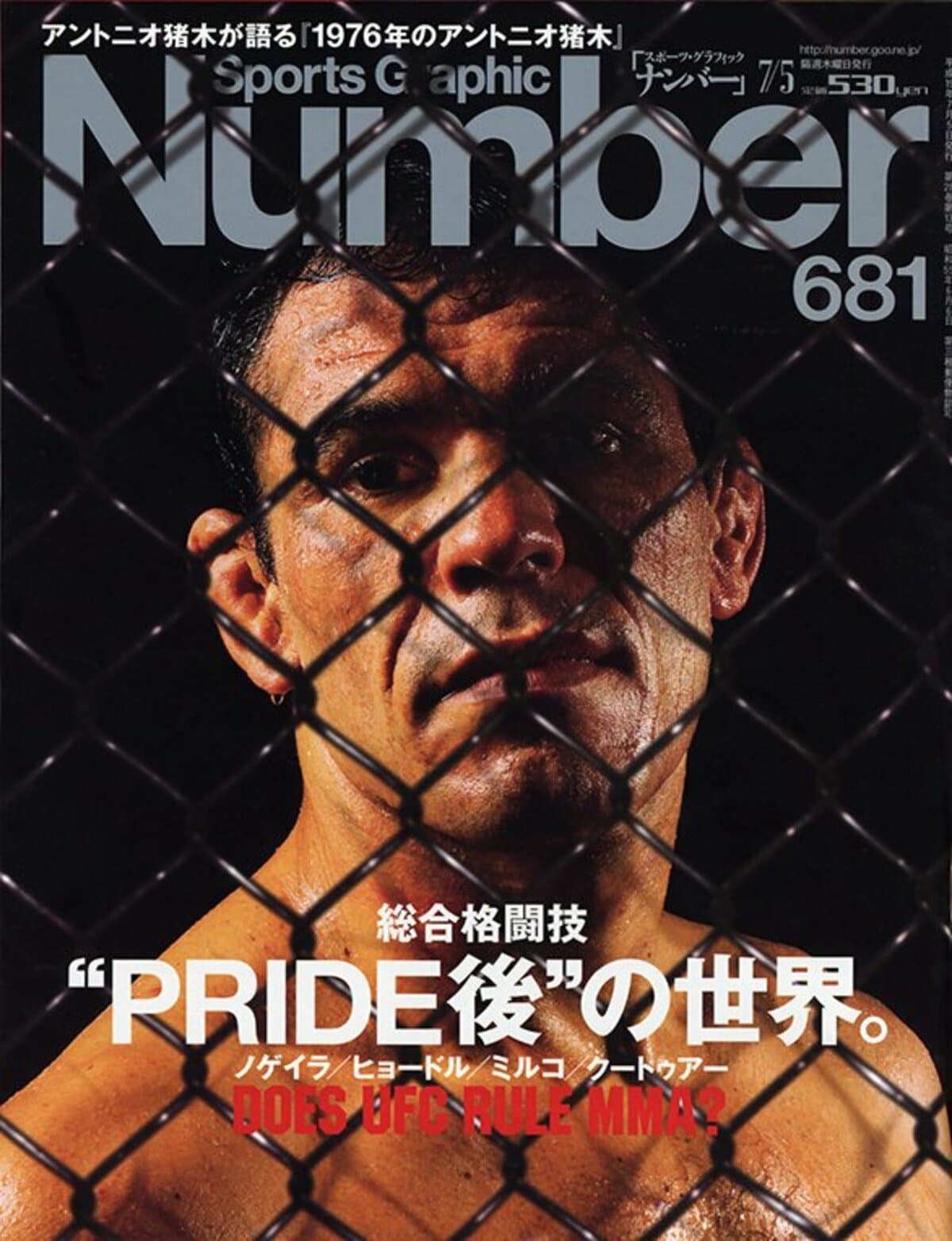 総合格闘技 “PRIDE後”の世界。 DOES UFC RULE MMA？ - Number681号