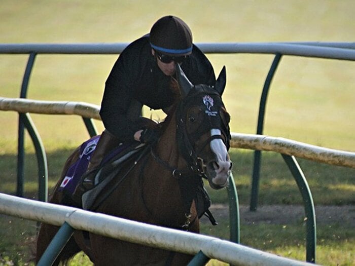 日本馬が久々のキングジョージ出走。シュヴァルグランがエネイブルに挑む。＜Number Web＞ photograph by Satoshi Hiramatsu