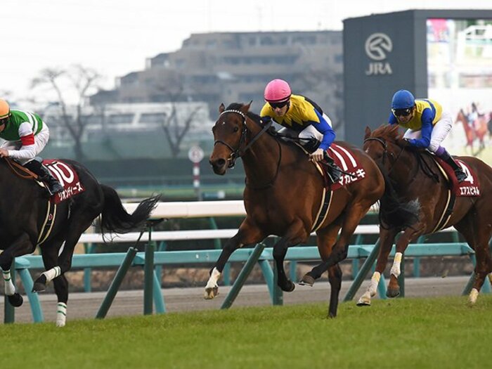 クラシック戦線に2頭目の「化け物」。マカヒキの強さを示す2つのタイム。＜Number Web＞ photograph by NIKKAN SPORTS