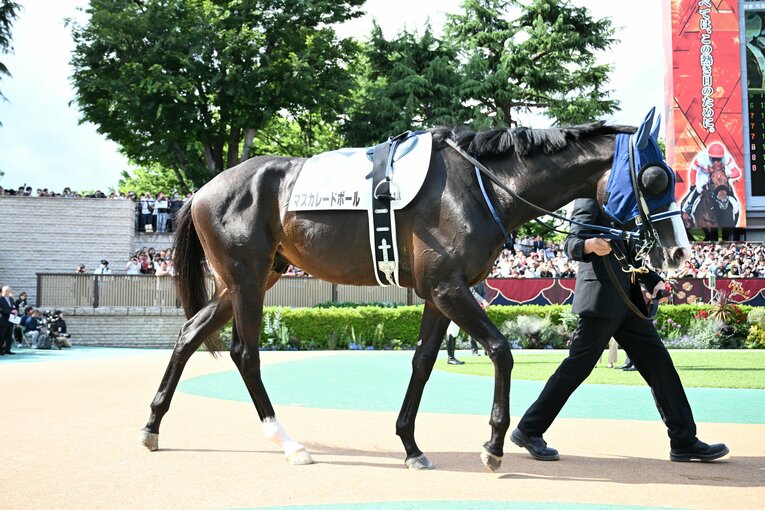 マスカレードボールのパドック　©Keiji Ishikawa