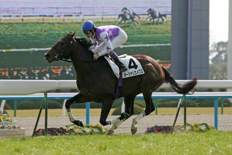 新馬戦を8馬身差で圧勝したオーシャンエイプス。モニターからも後続との差がよくわかる　©Yuji Takahashi