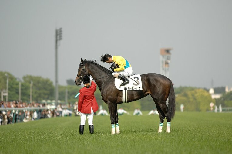 ウオッカ ／ photograph by Keiji Ishikawa