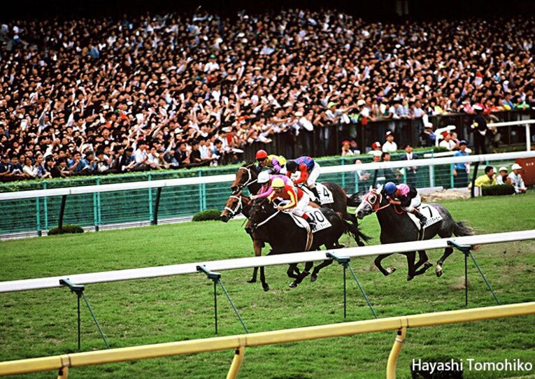 「3強」ビワハヤヒデ、ナリタタイシンは老衰で……。30歳、ウイニングチケットはどうしている？(5) ／ photograph by Tomohiko Hayashi