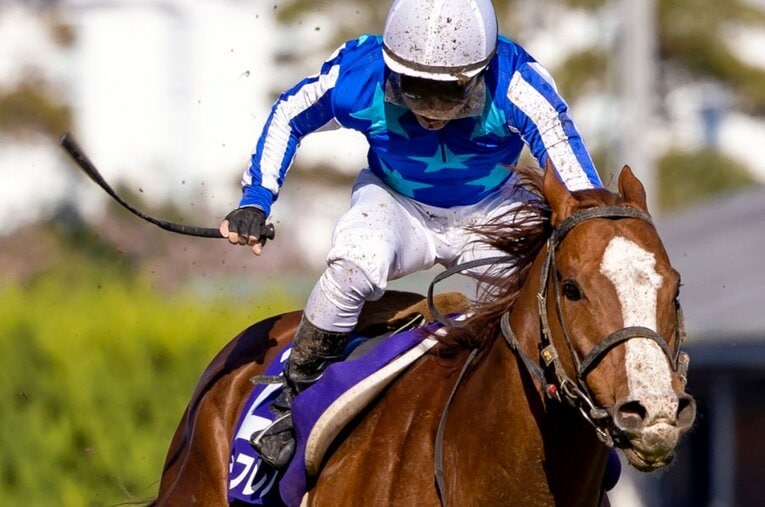 3月27日の高松宮記念で人馬ともにGI初制覇となったナランフレグと丸田恭介 ／ photograph by Photostud