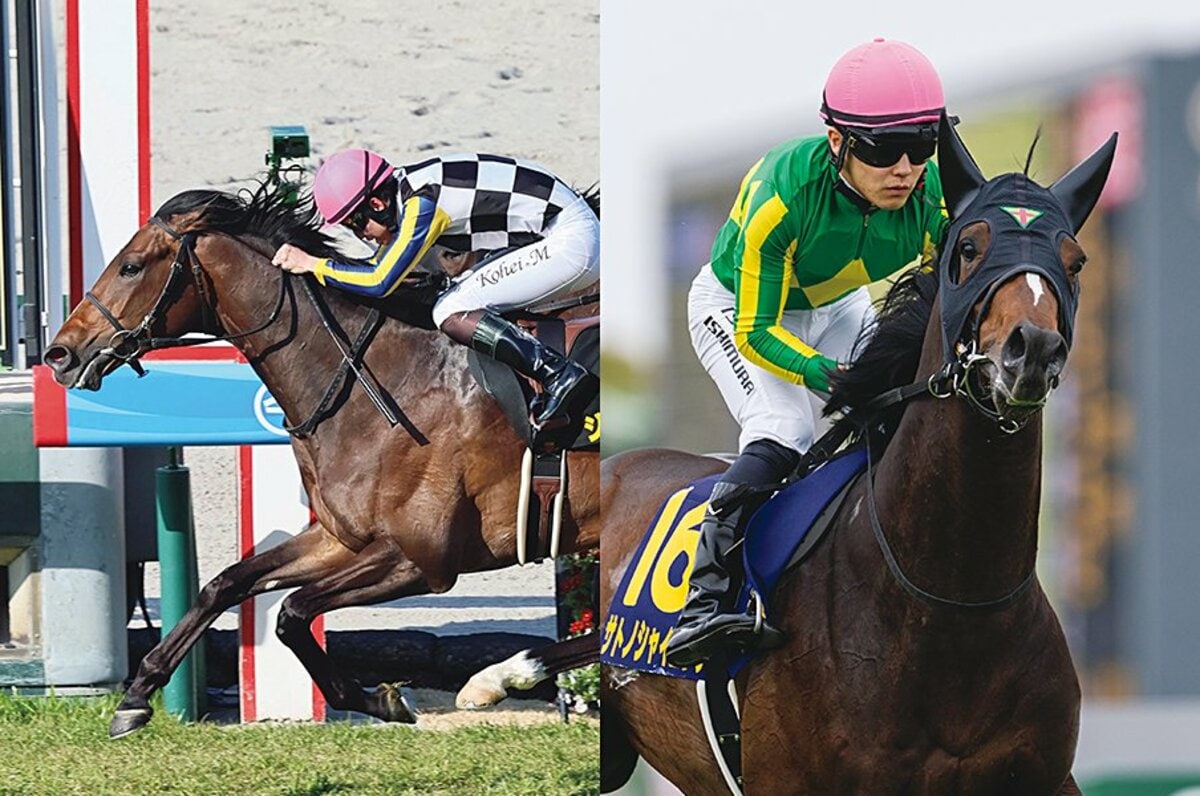 デアリングタクト　新聞記事 初の無敗牝馬3冠 デアリングタクト、秋華賞V：朝日新聞