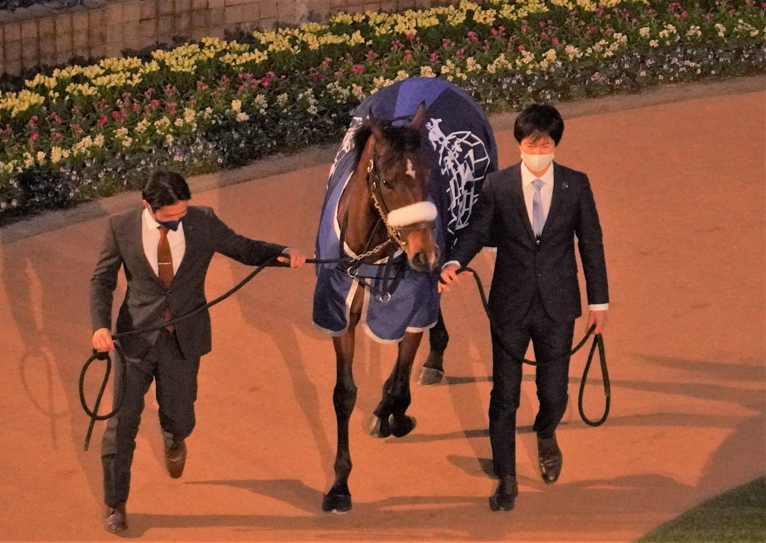 昨年末引退したアーモンドアイ