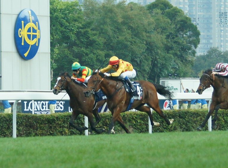 香港カップでは2着に好走した（一番左がトウケイヘイロー）