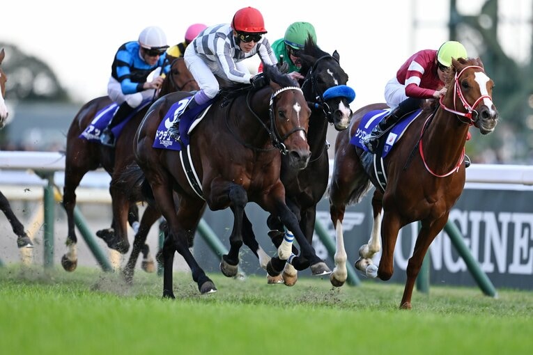 ジャパンカップでドウデュースに敗れるも、2着に粘ったシンエンペラー　©Keiji Ishikawa