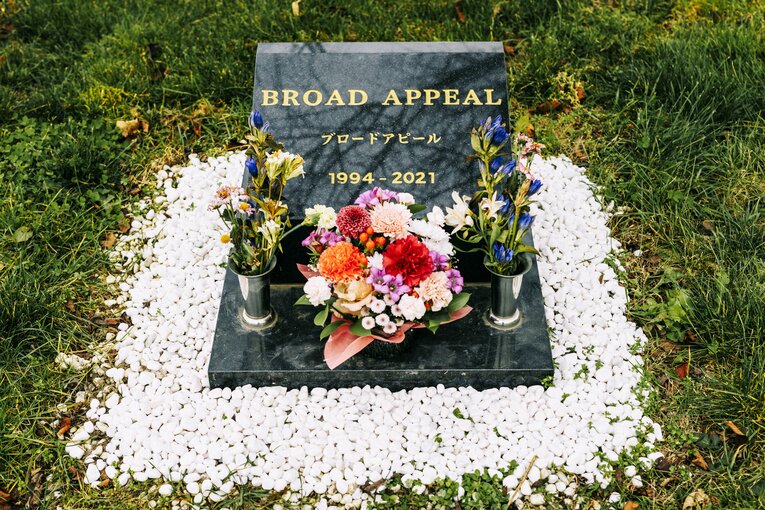 ブロードアピールのお墓　©Kiichi Matsumoto