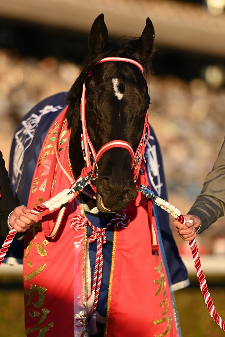 「本当に立派な走りでした」コントレイルがジャパンCで有終の美…“男泣き”福永祐一が三冠馬と歩んだ「夢のような」2年間(28)