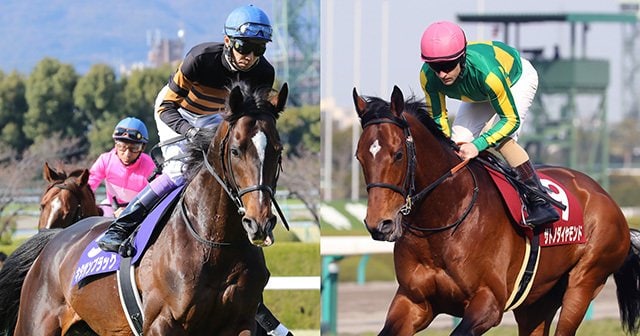 4歳以上次走報】サトノグランツは天皇賞・春を視野に｜競馬