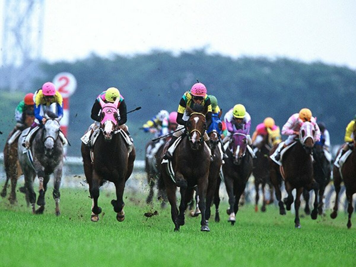 2001年 68回 日本ダービー 競馬 Tシャツ☆武豊 ジャングルポケット - T