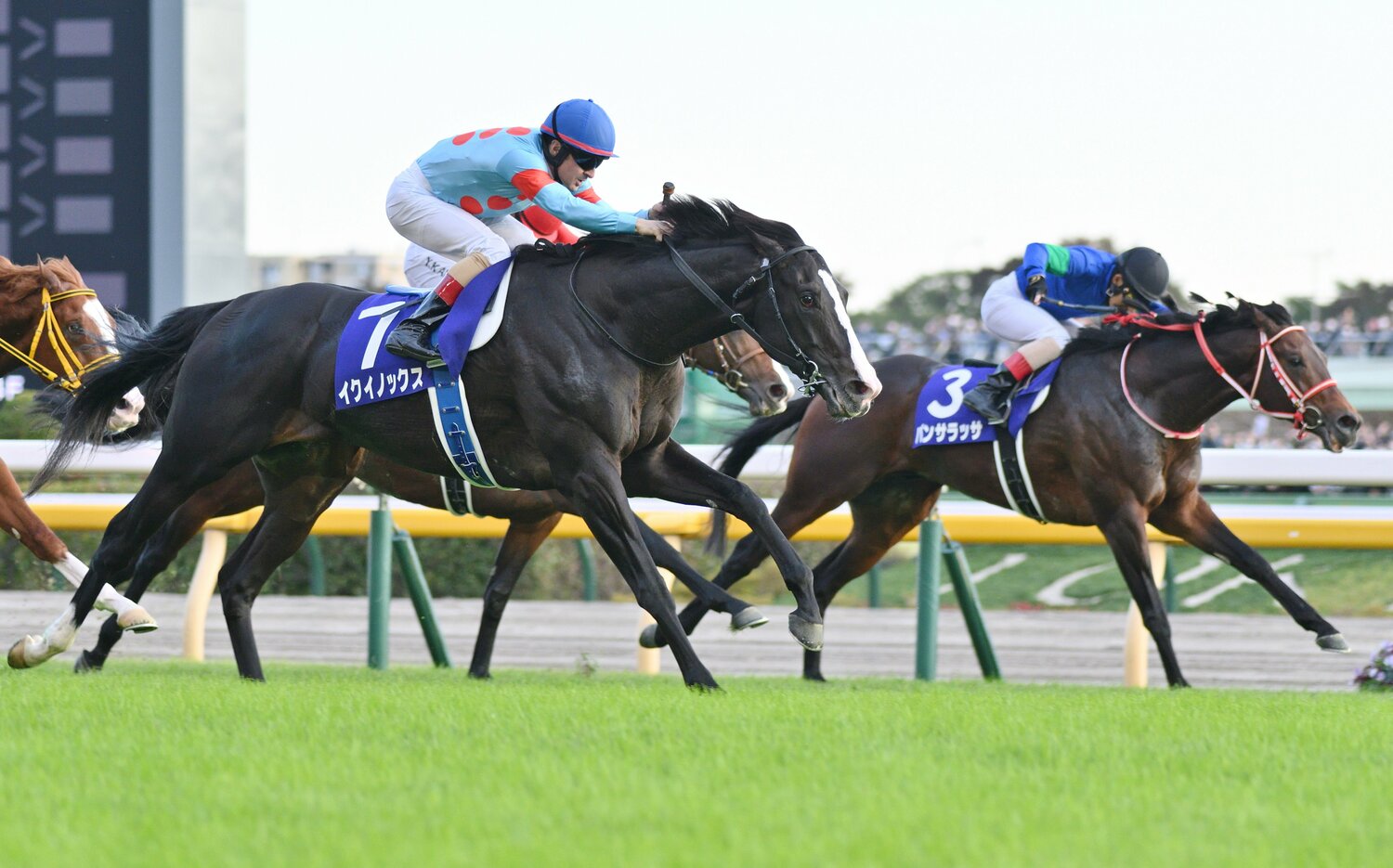 大逃げで場内を沸かせたパンサラッサをイクイノックスが差し切った天皇賞・秋　©JIJI PRESS